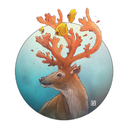 Corabou, série Les créatures marines par Eve Berthelette