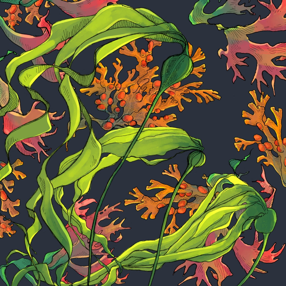 Housse de coussin : Jardin de mer