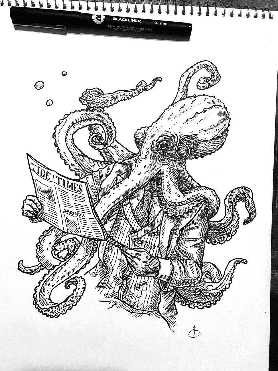 Kangourou unisexe : Tide Times