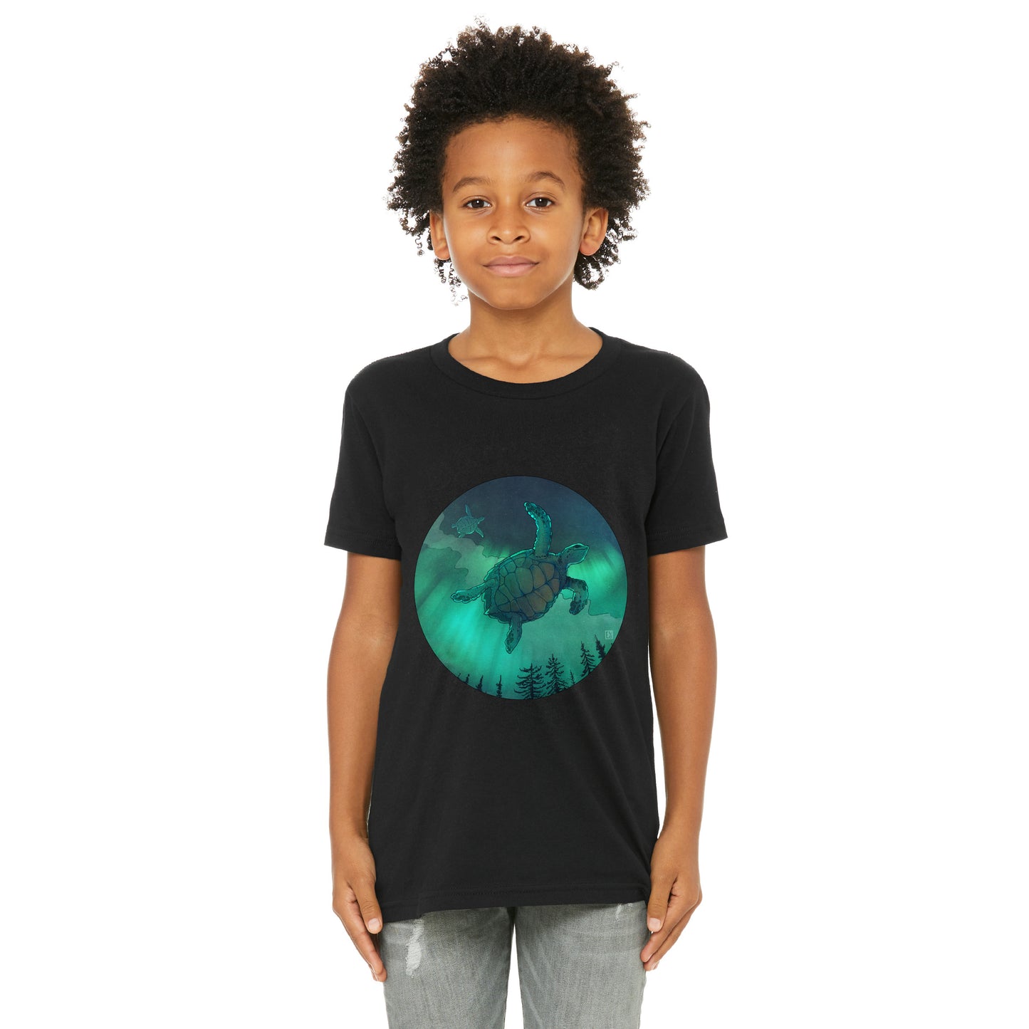 T-shirt enfant unisexe : Tortues boréales
