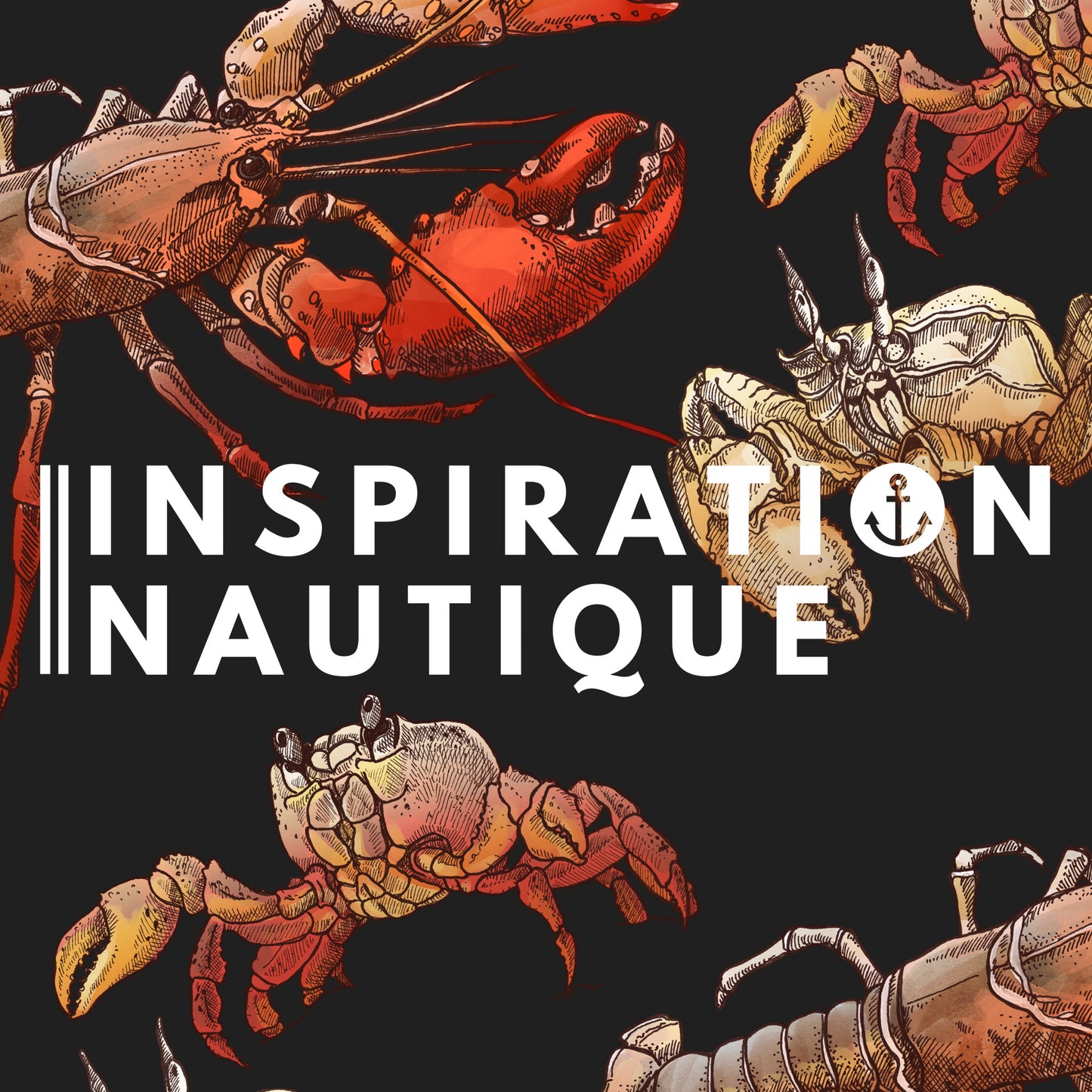 Kangourou unisexe : Homards et crabes