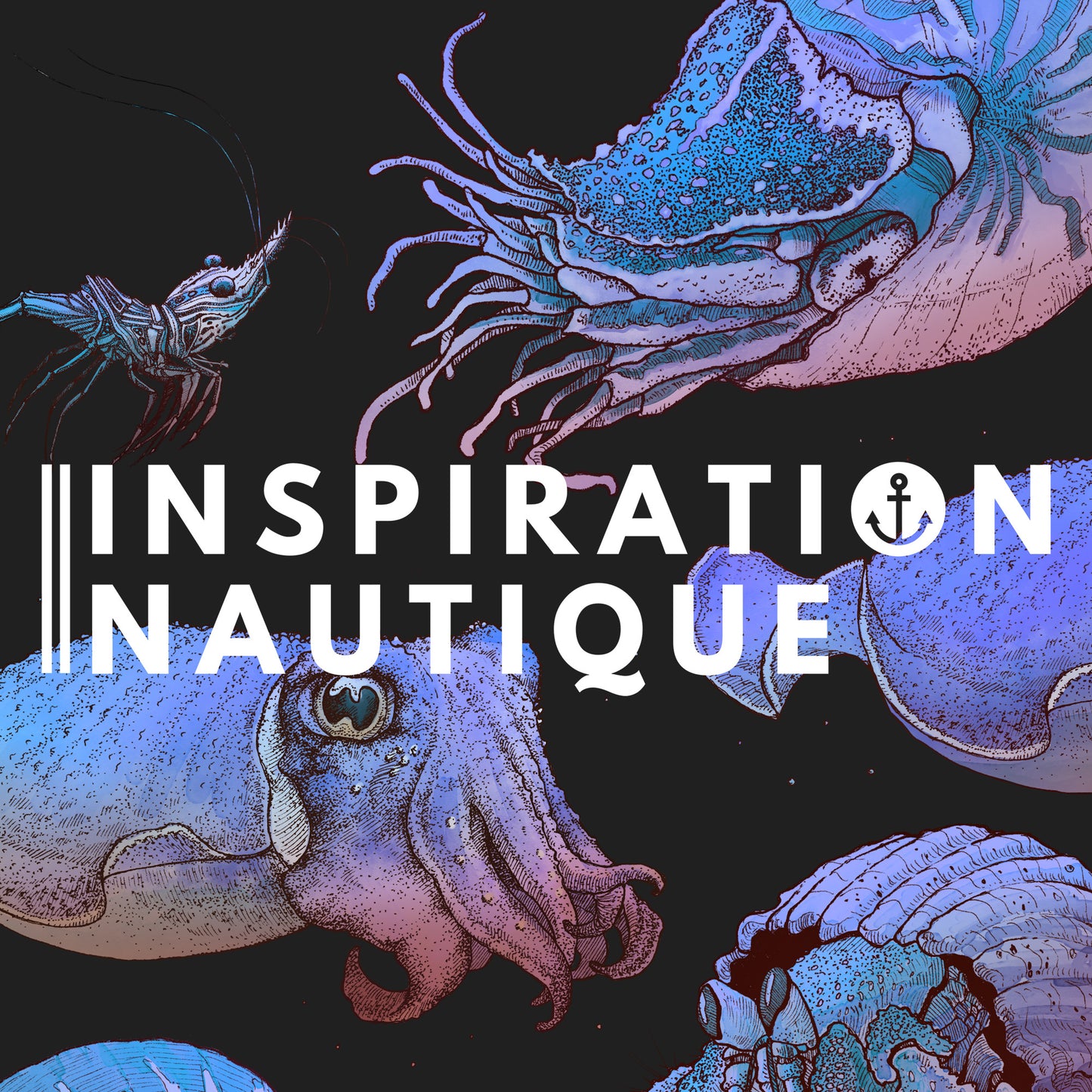 T-shirt femme - Nautilus et cie