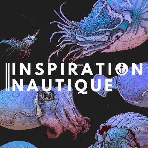 Nautilus et cie