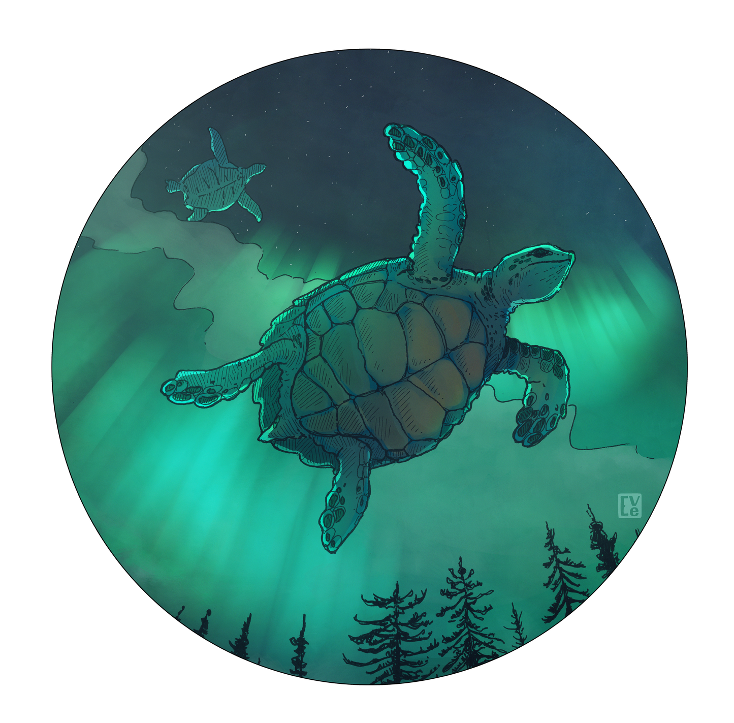 Kangourou unisexe : Tortues boréales